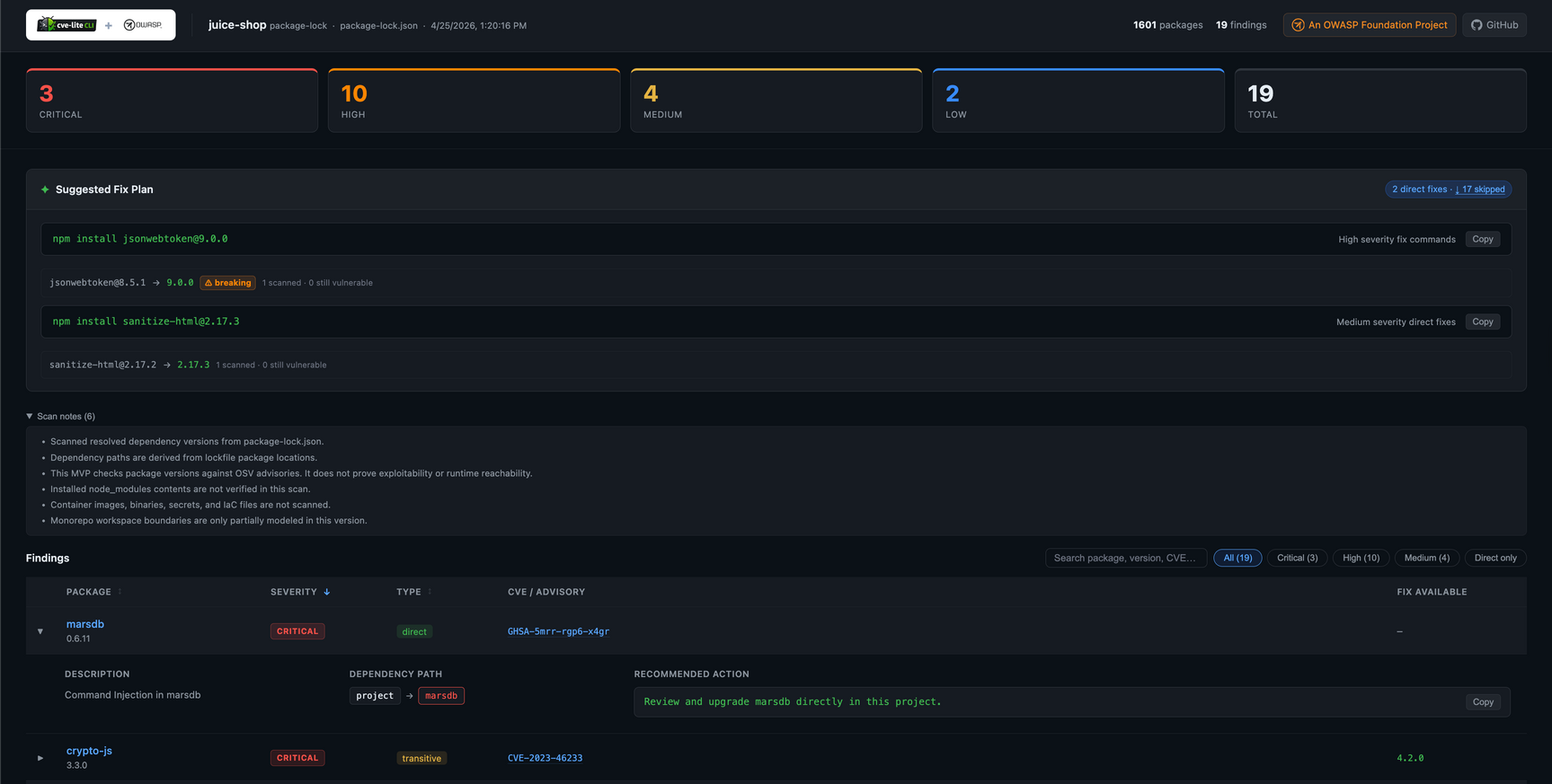 CVE Lite CLI HTML report dashboard
